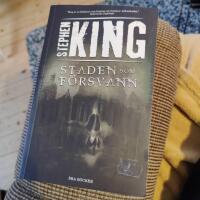 Staden som f&ouml;rsvann