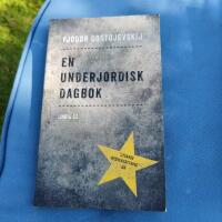En underjordisk dagbok
