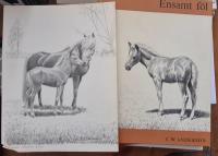 Ensamt f&ouml;l (med affisch)