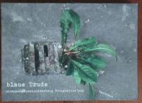 Blaue Trude