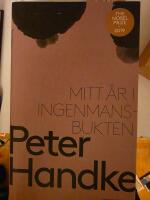 Mitt &aring;r i Ingenmansbukten : en saga fr&aring;n de nya tiderna