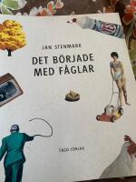 Det b&ouml;rjade med f&aring;glar