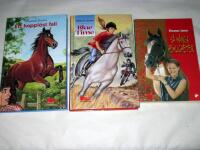 ETT HOPPL&Ouml;ST FALL + BLUE TIME + S&Aring; M&Aring;NGA HEMLIGHETER