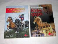 ETT RAFFLANDE RIDL&Auml;GER + H&Auml;STEN I SPEGELN