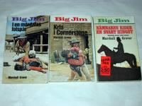 I M&Ouml;RDARENS FOTSP&Aring;R + KRIS I CORNERSTONE + H&Auml;MNAREN RIDER EN SVART HINGST. 